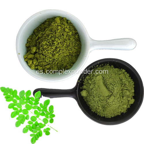 Polvo de hoja Moringa Oleifera al por mayor